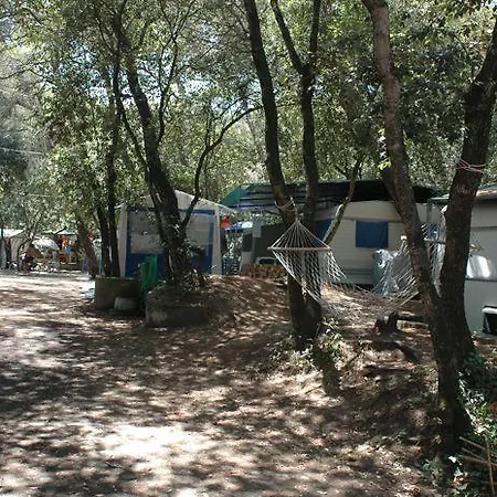 Kemp Continental Marina di Castagneto Carducci